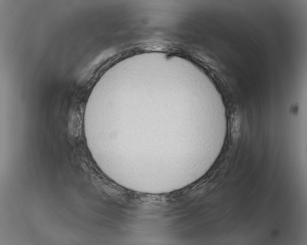 X0000115241446200912111043