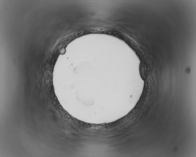 X0000115241447200912111043