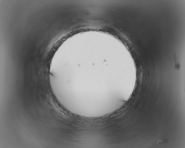 X0000115241448200912111043