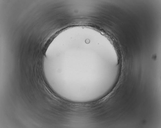 X0000115241449200912111043