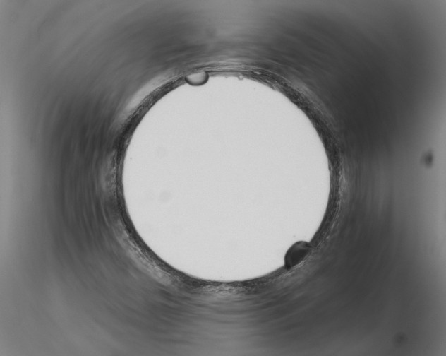 X0000115241450200912111043