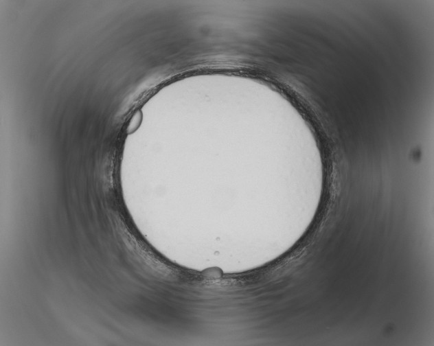 X0000115241451200912111043