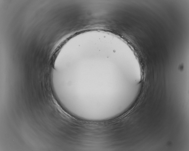 X0000115241452200912111043