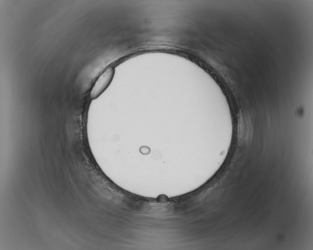 X0000115241453200912111043