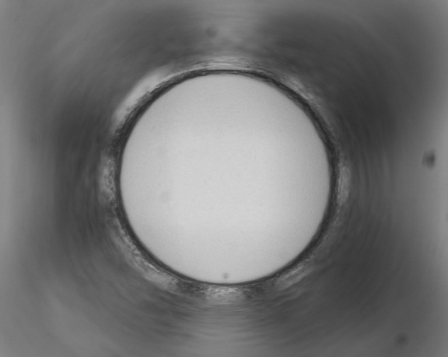 X0000115241454200912111043