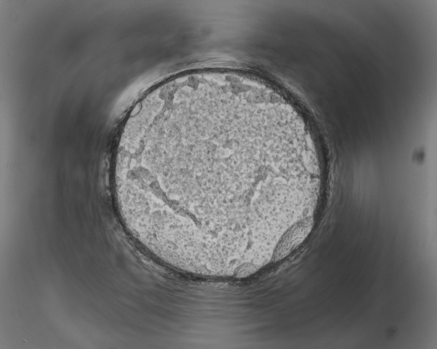 X0000115241455200912111043