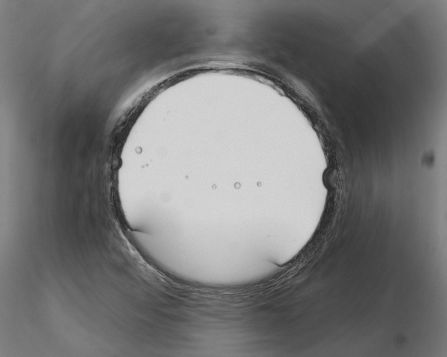 X0000115241456200912111043