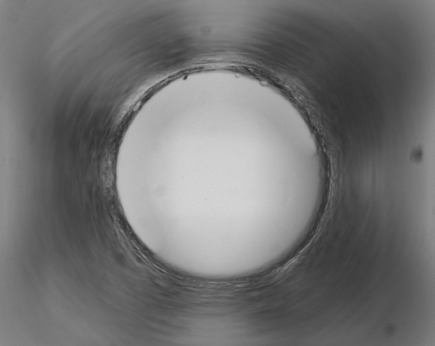 X0000115241457200912111043