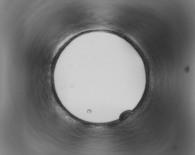 X0000115241460200912111043