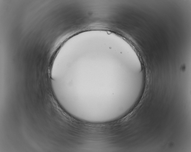 X0000115241461200912111043