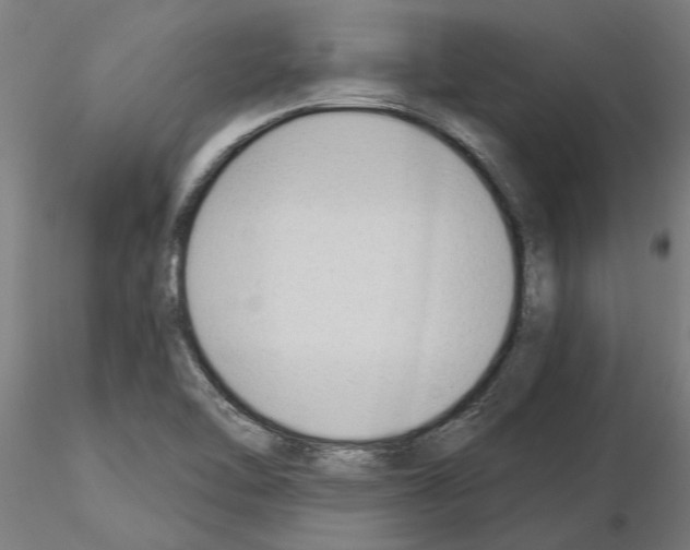 X0000115241462200912111043