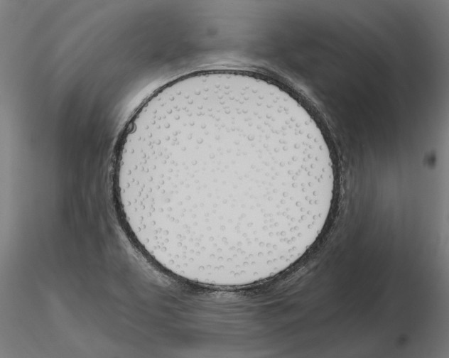 X0000115241463200912111043