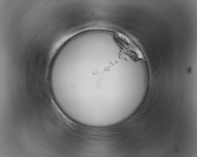 X0000115241464200912111043