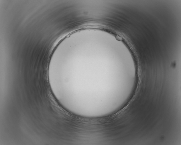 X0000115241465200912111043