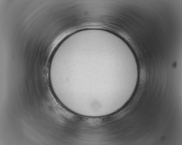 X0000115241466200912111043