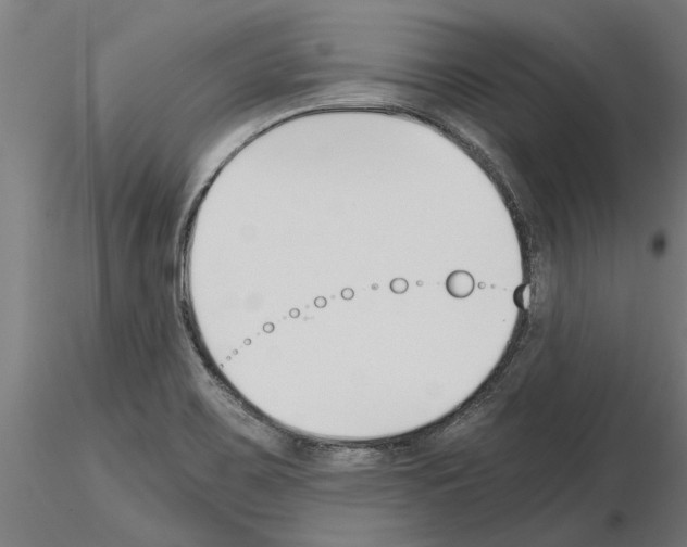 X0000115241467200912111043