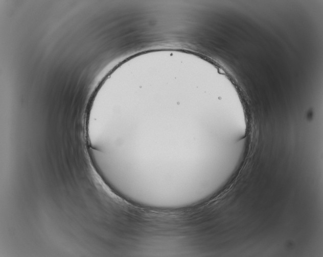 X0000115241468200912111043