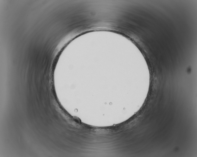 X0000115241469200912111043