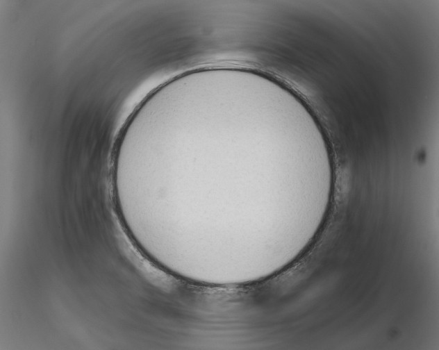 X0000115241470200912111043