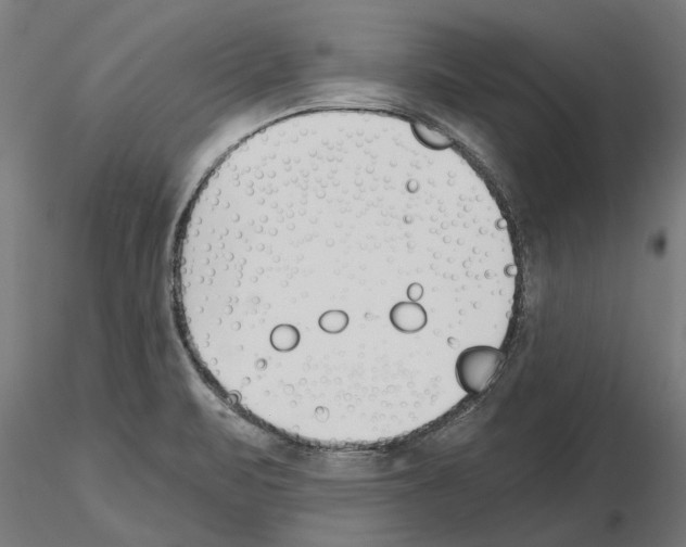 X0000115241471200912111043