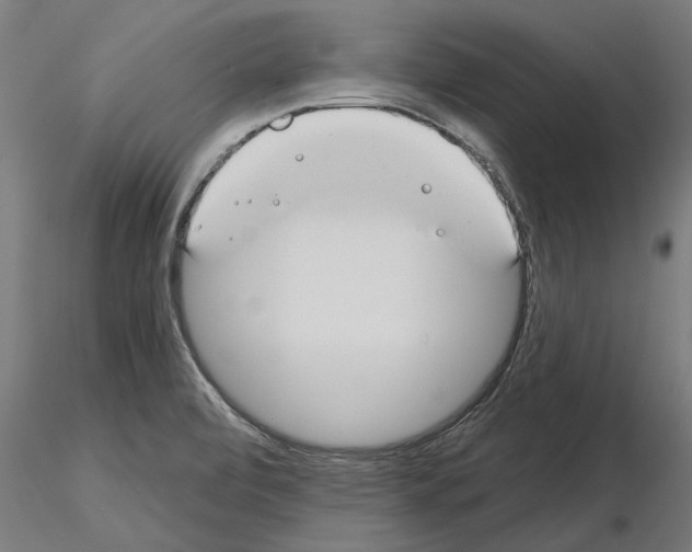 X0000115241472200912111043