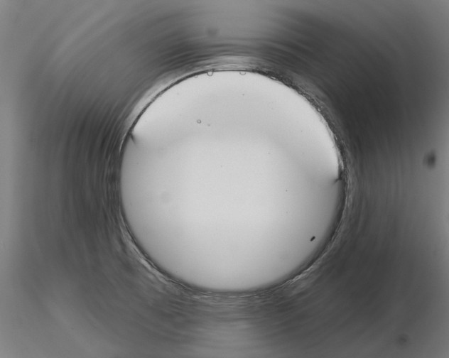 X0000115241473200912111043