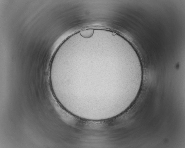 X0000115241474200912111043