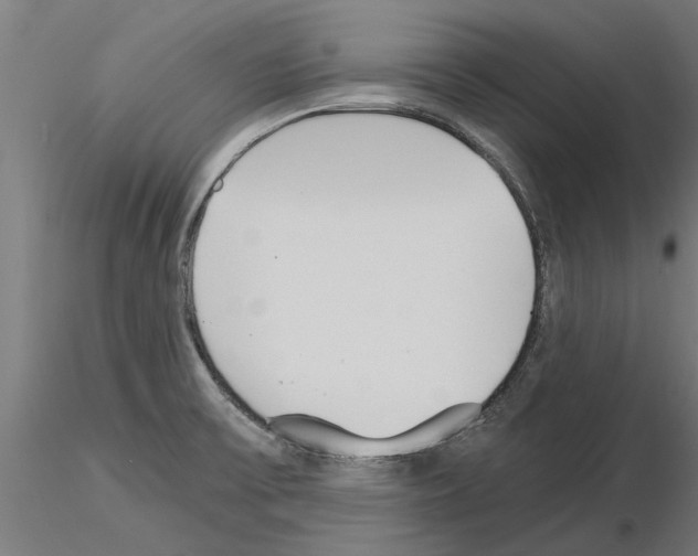 X0000115241475200912111043