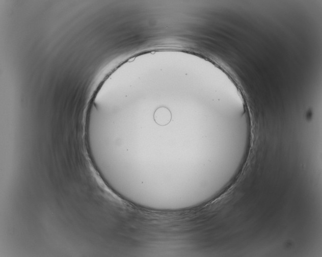 X0000115241477200912111043