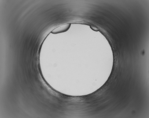 X0000115241479200912111043