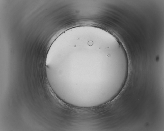 X0000115241481200912111043