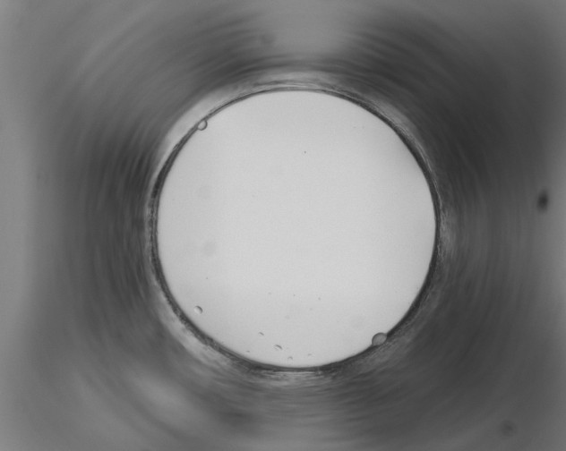 X0000115241482200912111043