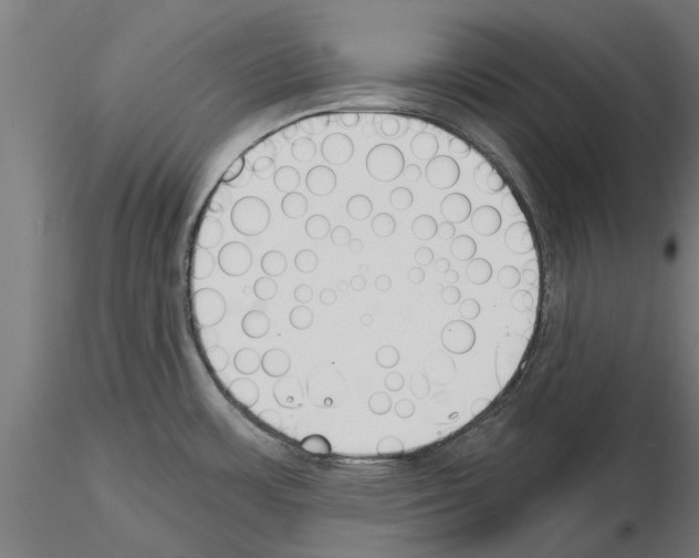 X0000115241483200912111043