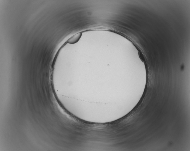 X0000115241484200912111043