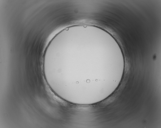 X0000115241486200912111042