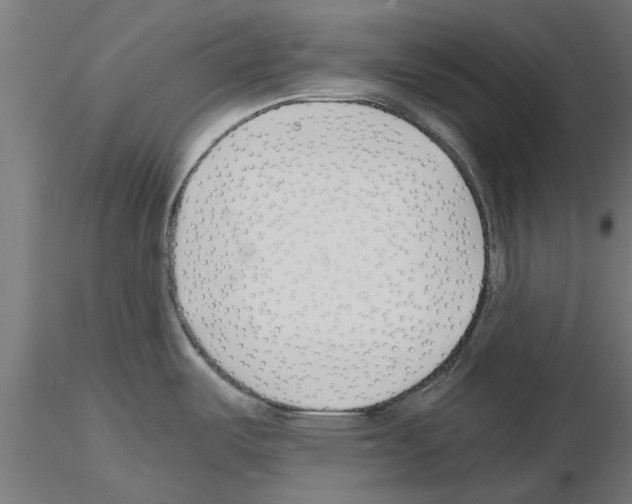 X0000115241487200912111042