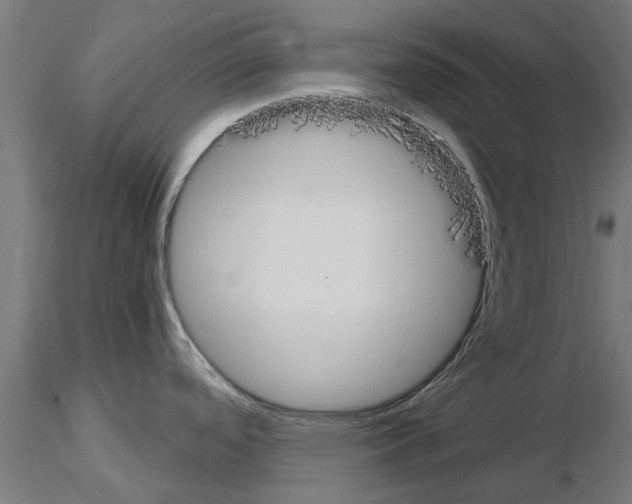 X0000115241488200912111042