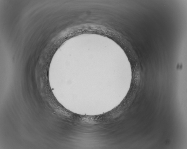 X0000115241489200912111042