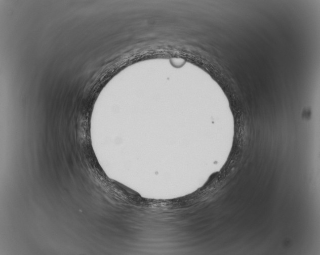 X0000115241490200912111042