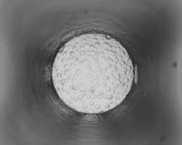 X0000115241491200912111042