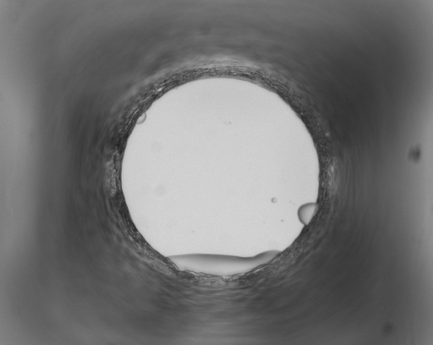 X0000115241493200912111042