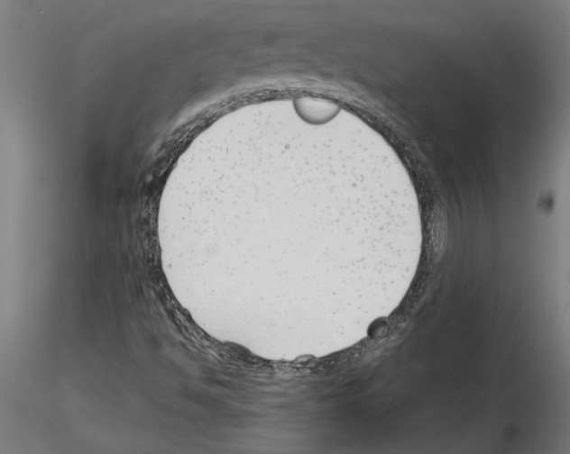 X0000115241494200912111042