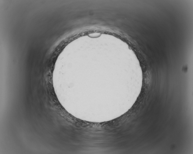 X0000115241495200912111042