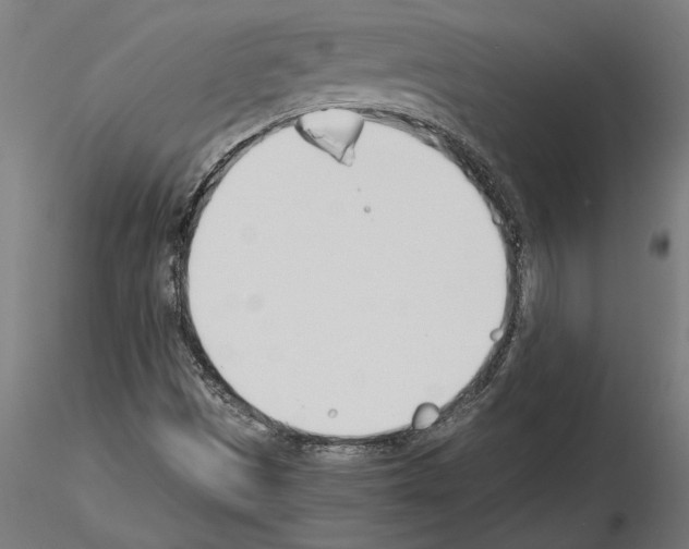 X0000115241497200912111042