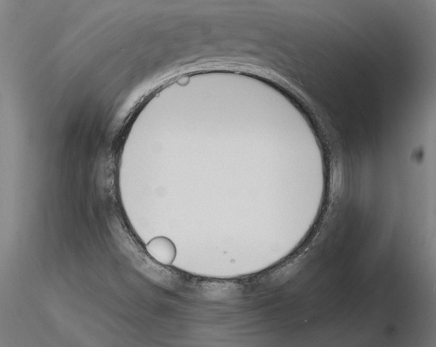 X0000115241498200912111042