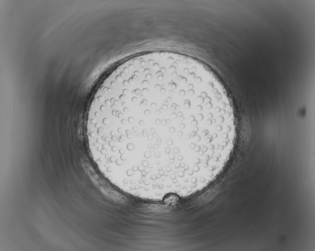 X0000115241499200912111042