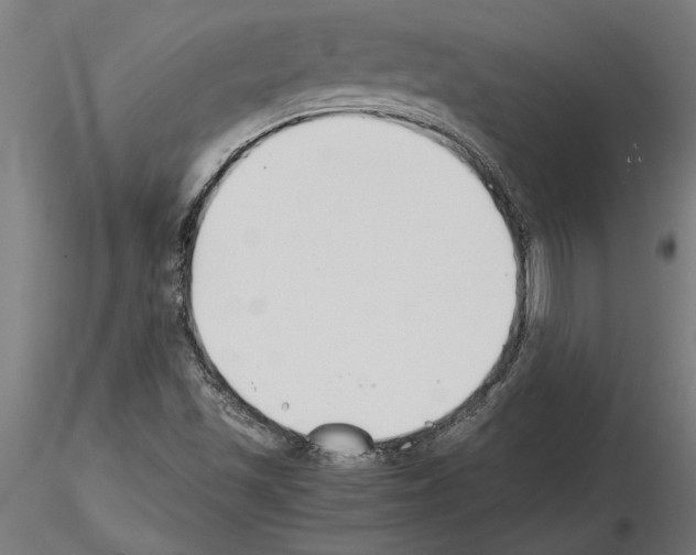 X0000115241501200912111042