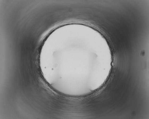 X0000115241502200912111042