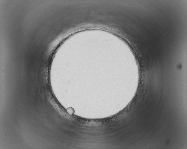 X0000115241503200912111042