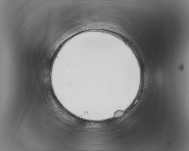 X0000115241505200912111042